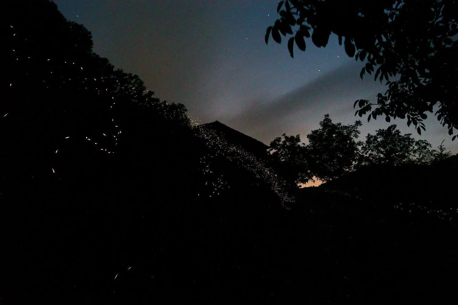 Mimmo'S Holiday House San Godenzo 0*,